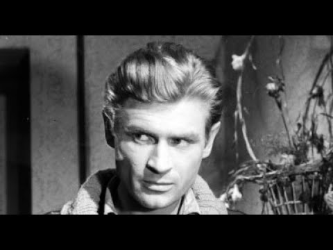 Sensacyjne cały film