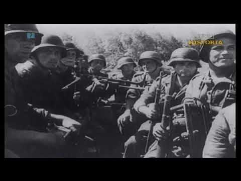 Sensacyjne cały film