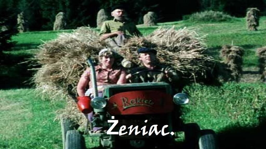 Polskie filmy