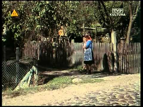 komedie cały film