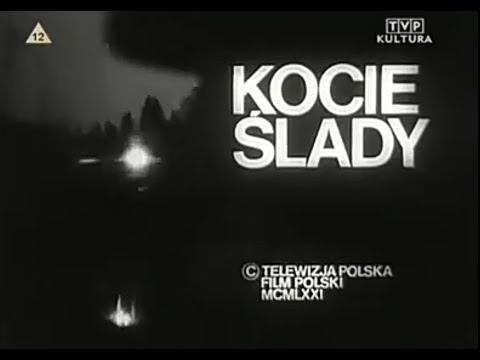 Polskie filmy
