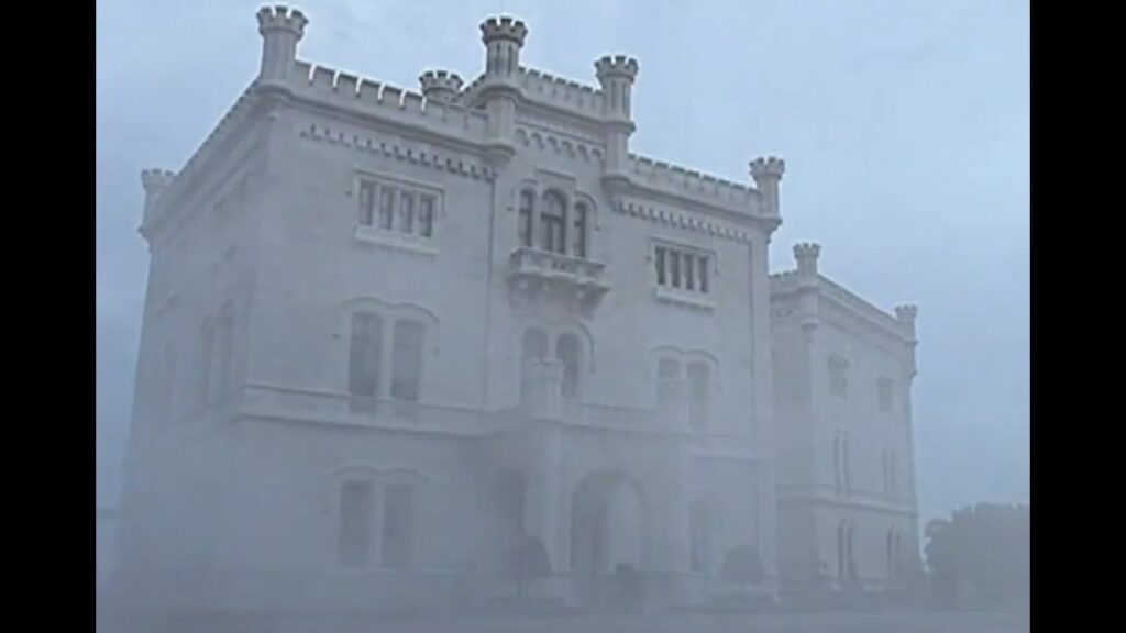 komedie cały film