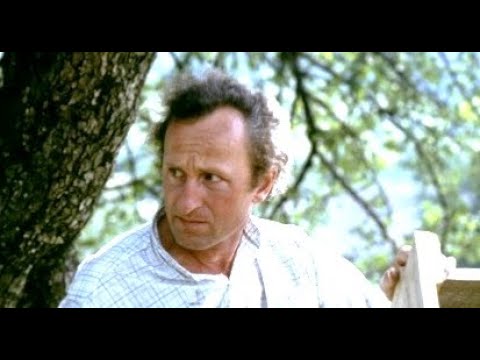 komedie cały film