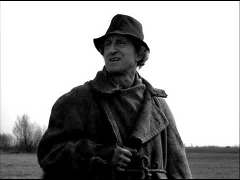 komedie cały film