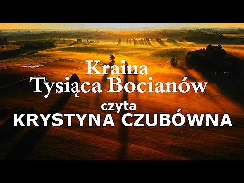 polski film