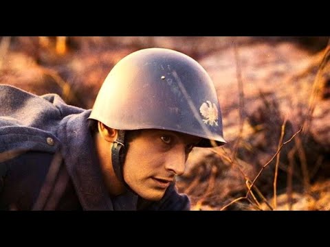polski film