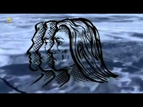 komedie cały film