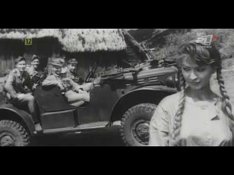 polski film